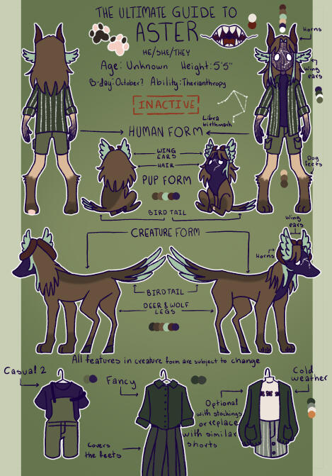 Aster ref sheet Aster ref sheet
